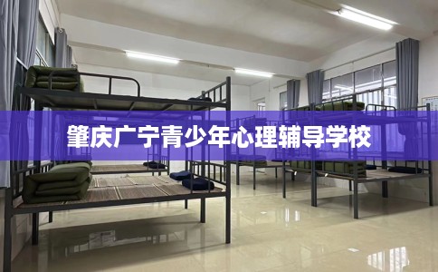 肇庆广宁青少年心理辅导学校