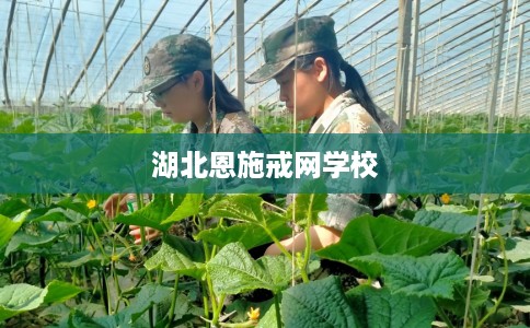 湖北恩施戒网学校