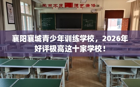 襄阳襄城青少年训练学校，2026年好评极高这十家学校！