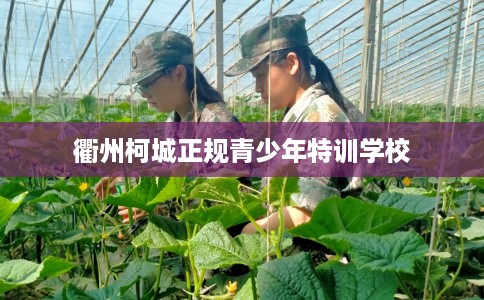 衢州柯城正规青少年特训学校