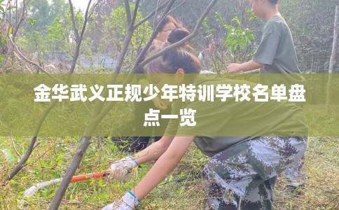 金华武义正规少年特训学校名单盘点一览