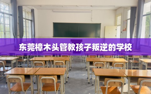 东莞樟木头管教孩子叛逆的学校