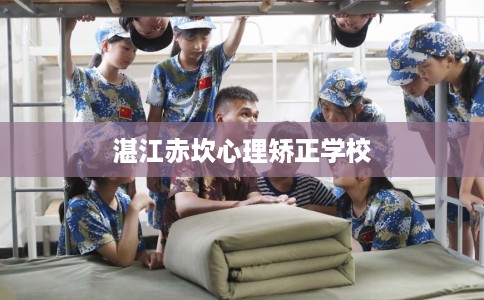 湛江赤坎心理矫正学校