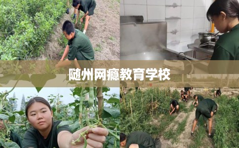 随州网瘾教育学校 随州网瘾教育学校
