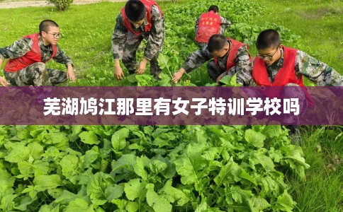芜湖鸠江那里有女子特训学校吗