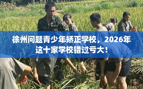 徐州问题青少年矫正学校，2026年这十家学校错过亏大！