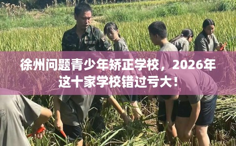 徐州问题青少年矫正学校，2026年这十家学校错过亏大！
