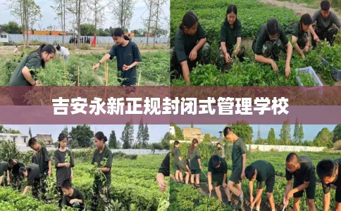吉安永新正规封闭式管理学校