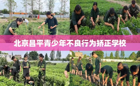 北京昌平青少年不良行为矫正学校