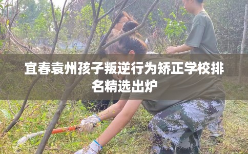 宜春袁州孩子叛逆行为矫正学校排名精选出炉