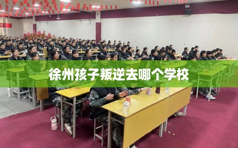 徐州孩子叛逆去哪个学校