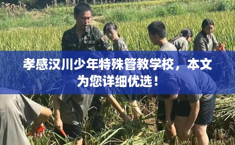 孝感汉川少年特殊管教学校，本文为您详细优选！