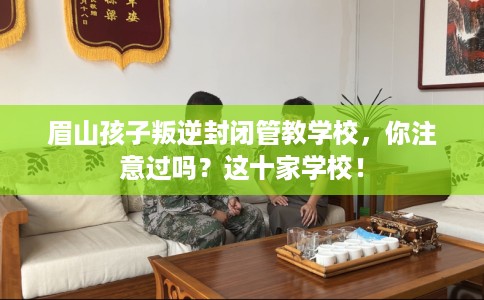眉山孩子叛逆封闭管教学校，你注意过吗？这十家学校！