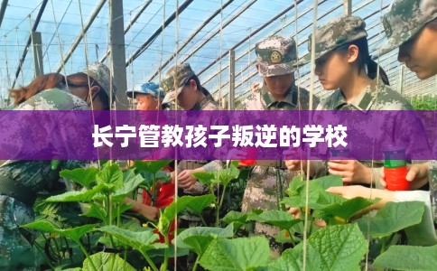 长宁管教孩子叛逆的学校