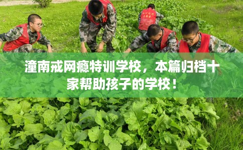 潼南戒网瘾特训学校，本篇归档十家帮助孩子的学校！