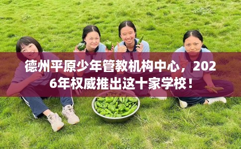 德州平原少年管教机构中心，2026年权威推出这十家学校！