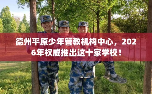 德州平原少年管教机构中心，2026年权威推出这十家学校！