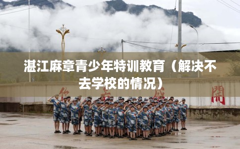 湛江麻章青少年特训教育（解决不去学校的情况）