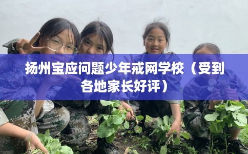 扬州宝应问题少年戒网学校（受到各地家长好评）