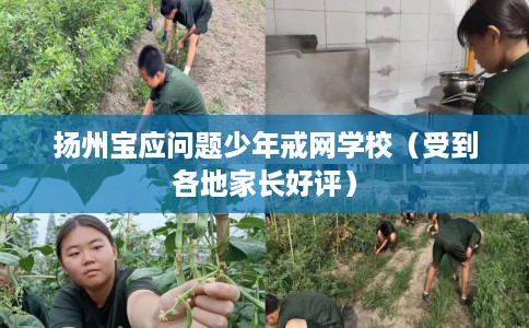 扬州宝应问题少年戒网学校（受到各地家长好评）