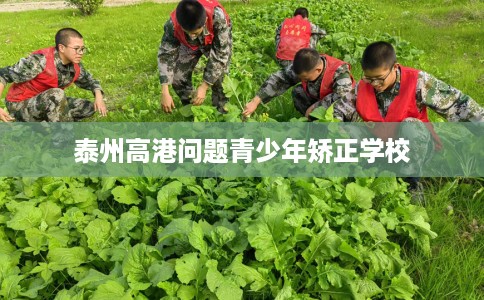 泰州高港问题青少年矫正学校