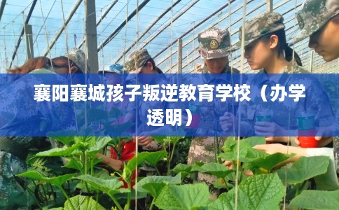 襄阳襄城孩子叛逆教育学校（办学透明）