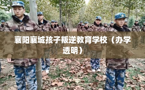 襄阳襄城孩子叛逆教育学校（办学透明）