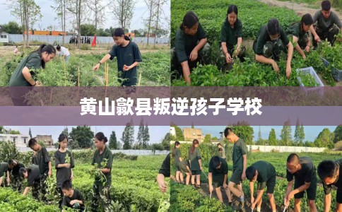 黄山歙县叛逆孩子学校