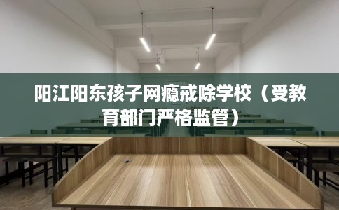 阳江阳东孩子网瘾戒除学校（受教育部门严格监管）