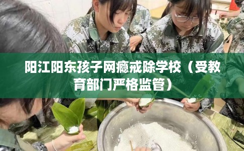阳江阳东孩子网瘾戒除学校（受教育部门严格监管）