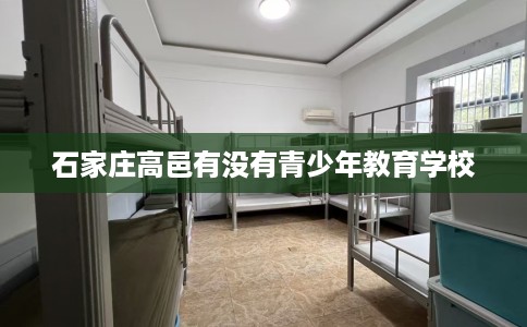石家庄高邑有没有青少年教育学校