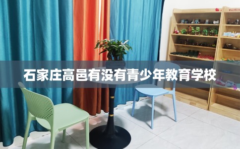 石家庄高邑有没有青少年教育学校