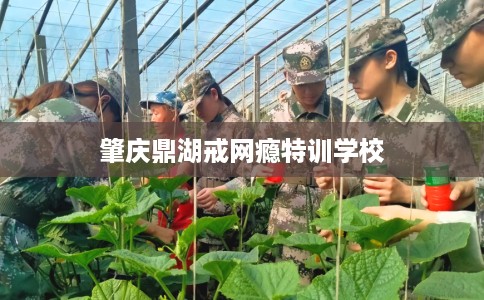 肇庆鼎湖戒网瘾特训学校