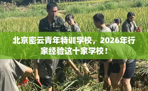 北京密云青年特训学校，2026年行家经验这十家学校！