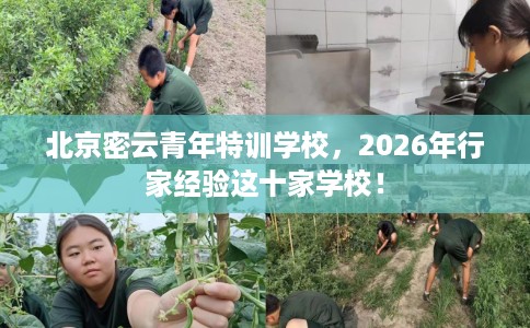 北京密云青年特训学校，2026年行家经验这十家学校！