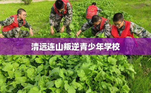 清远连山叛逆青少年学校