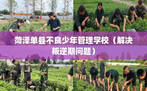 菏泽单县不良少年管理学校（解决叛逆期问题）