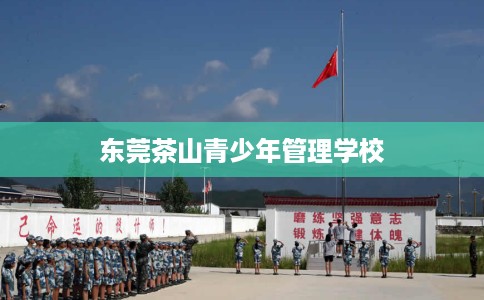 东莞茶山青少年管理学校