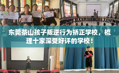 东莞茶山孩子叛逆行为矫正学校，梳理十家深受好评的学校！