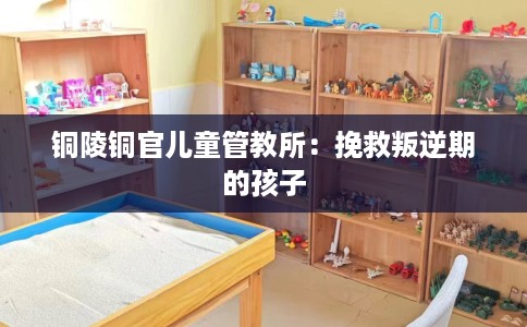 铜陵铜官儿童管教所：挽救叛逆期的孩子