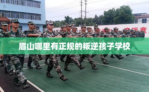 眉山哪里有正规的叛逆孩子学校