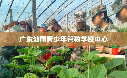 广东汕尾青少年管教学校中心