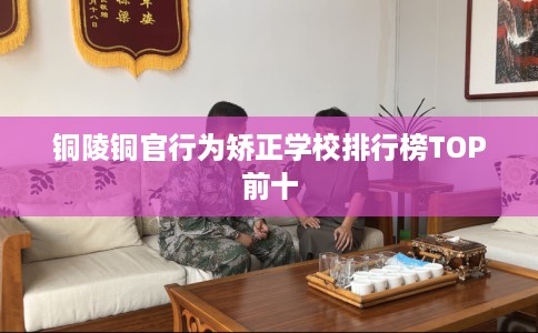 铜陵铜官行为矫正学校排行榜TOP前十