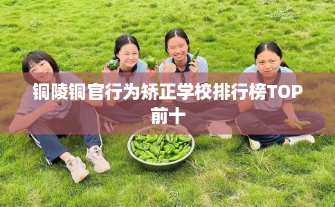 铜陵铜官行为矫正学校排行榜TOP前十