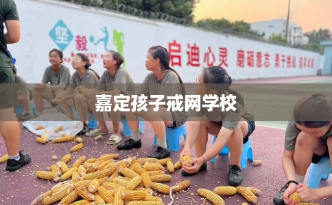 嘉定孩子戒网学校