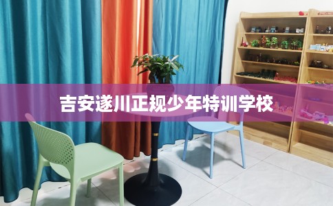 吉安遂川正规少年特训学校