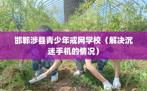 邯郸涉县青少年戒网学校（解决沉迷手机的情况）
