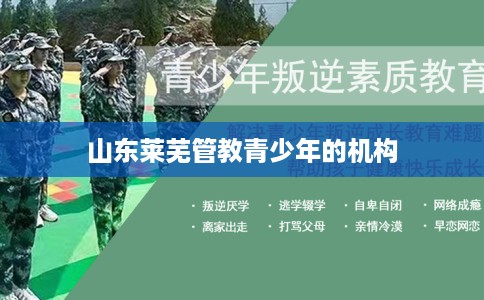 山东莱芜管教青少年的机构