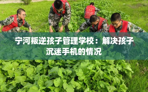 宁河叛逆孩子管理学校：解决孩子沉迷手机的情况