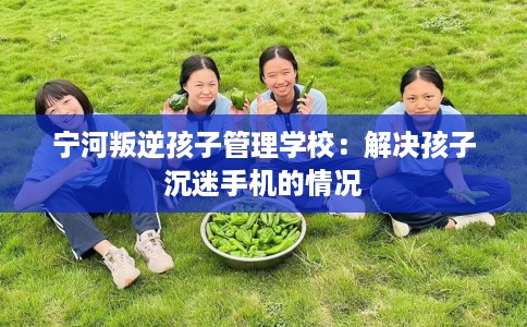 宁河叛逆孩子管理学校：解决孩子沉迷手机的情况